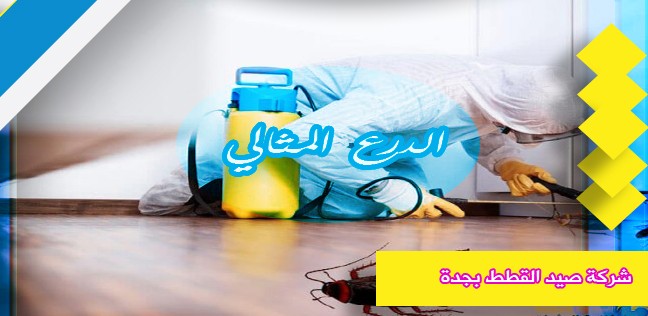 شركة رش مبيدات بجدة