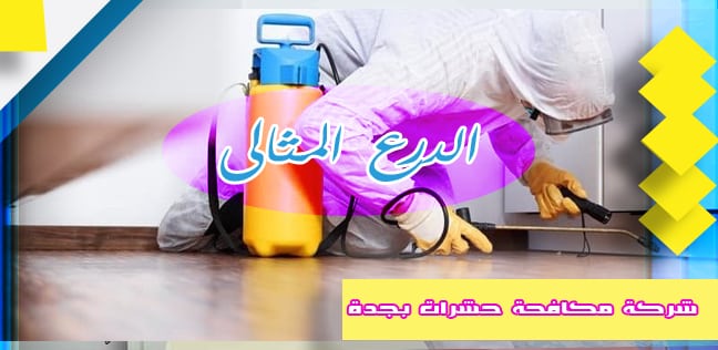 شركة مكافحة حشرات بجدة