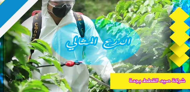 شركة رش مبيدات بجدة