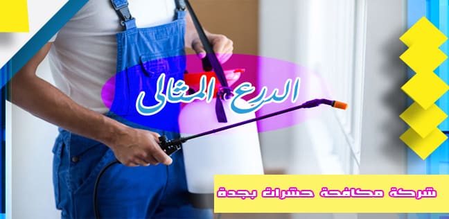 شركة مكافحة حشرات بجدة
