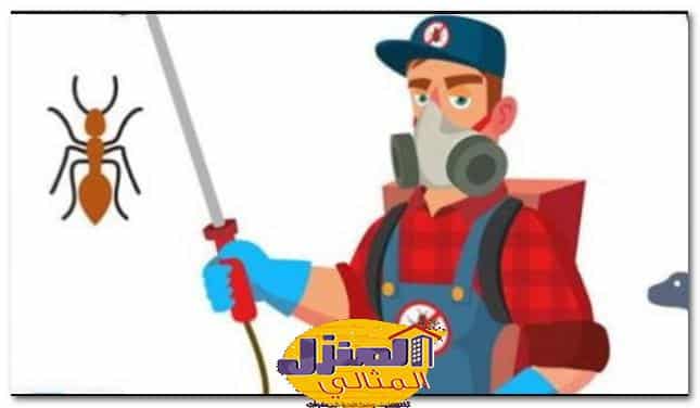 ارخص شركة مكافحة حشرات بجدة