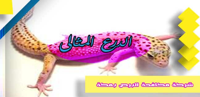 شركة مكافحة البرص بمكة