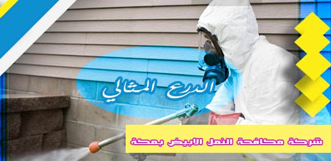 شركة مكافحة النمل الأبيض بمكة